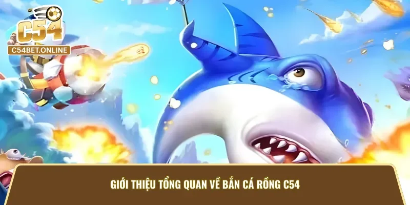 Giới thiệu tổng quan về bắn cá rồng C54