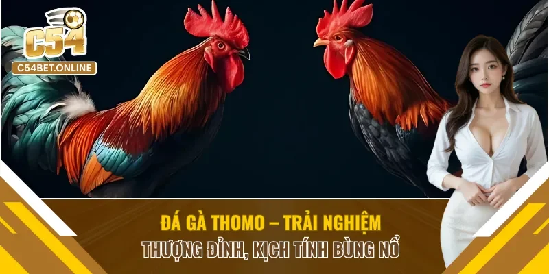 Đá Gà Thomo