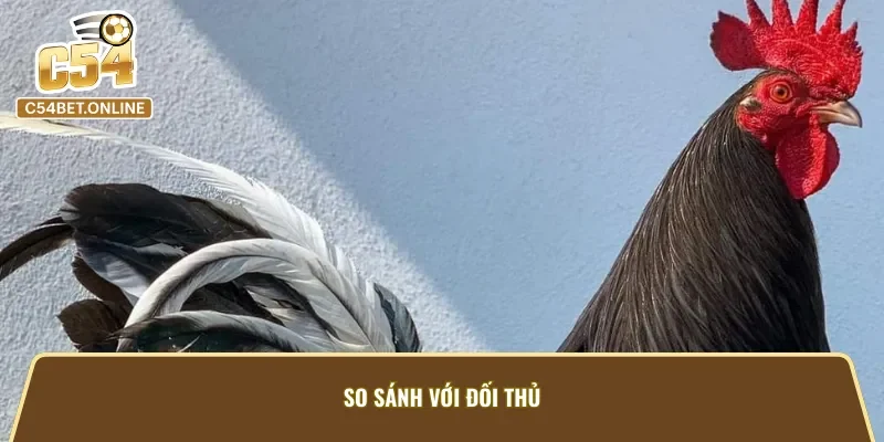 Cách lựa chọn gà Tía Lau đẳng cấp từ cao thủ