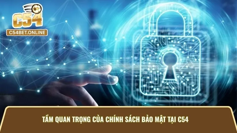 Tầm Quan Trọng Của Chính Sách Bảo Mật Tại C54
